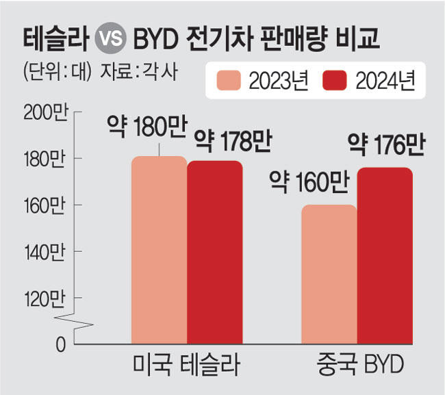 2025년 현재 테슬라 vs BYD 비교