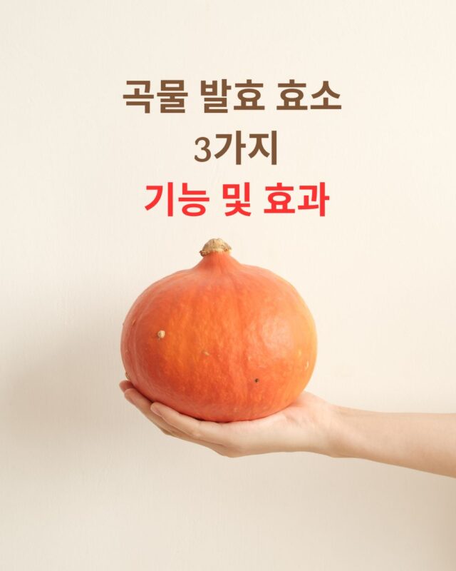 2025년 곡물발효 효소 3가지 추천