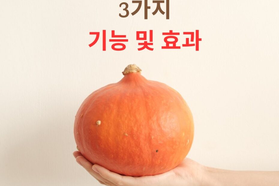 2025년 곡물발효 효소 3가지 추천