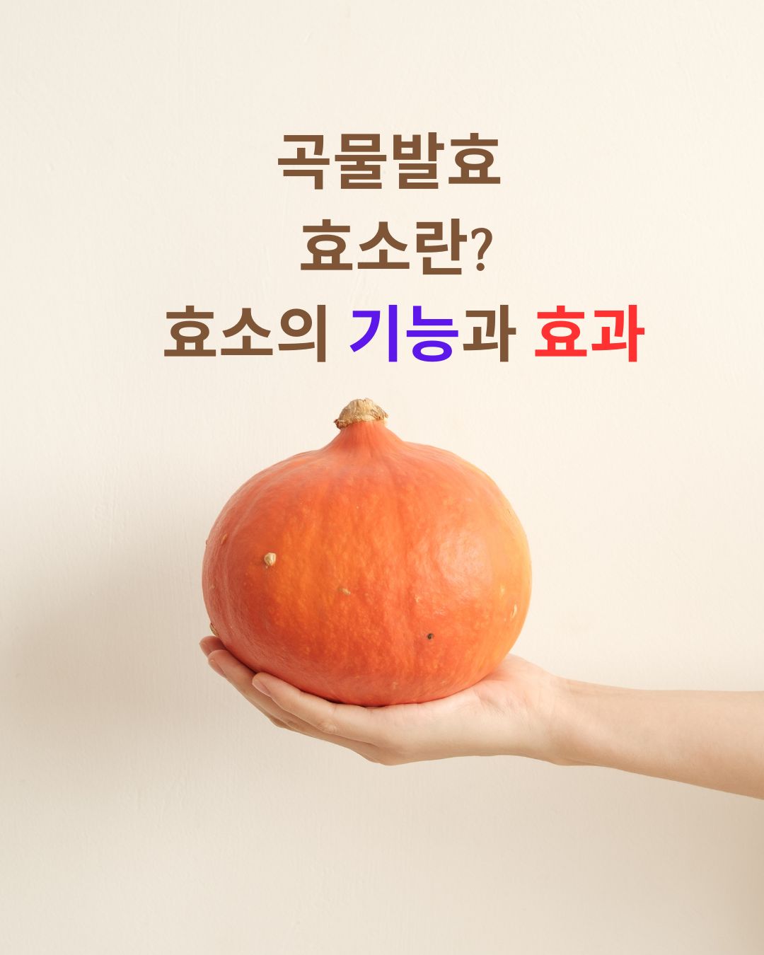 곡물발효 효소란? 곡물 효소의 기능과 효과