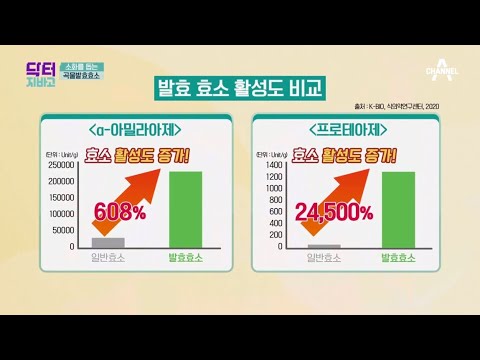 곡물발효