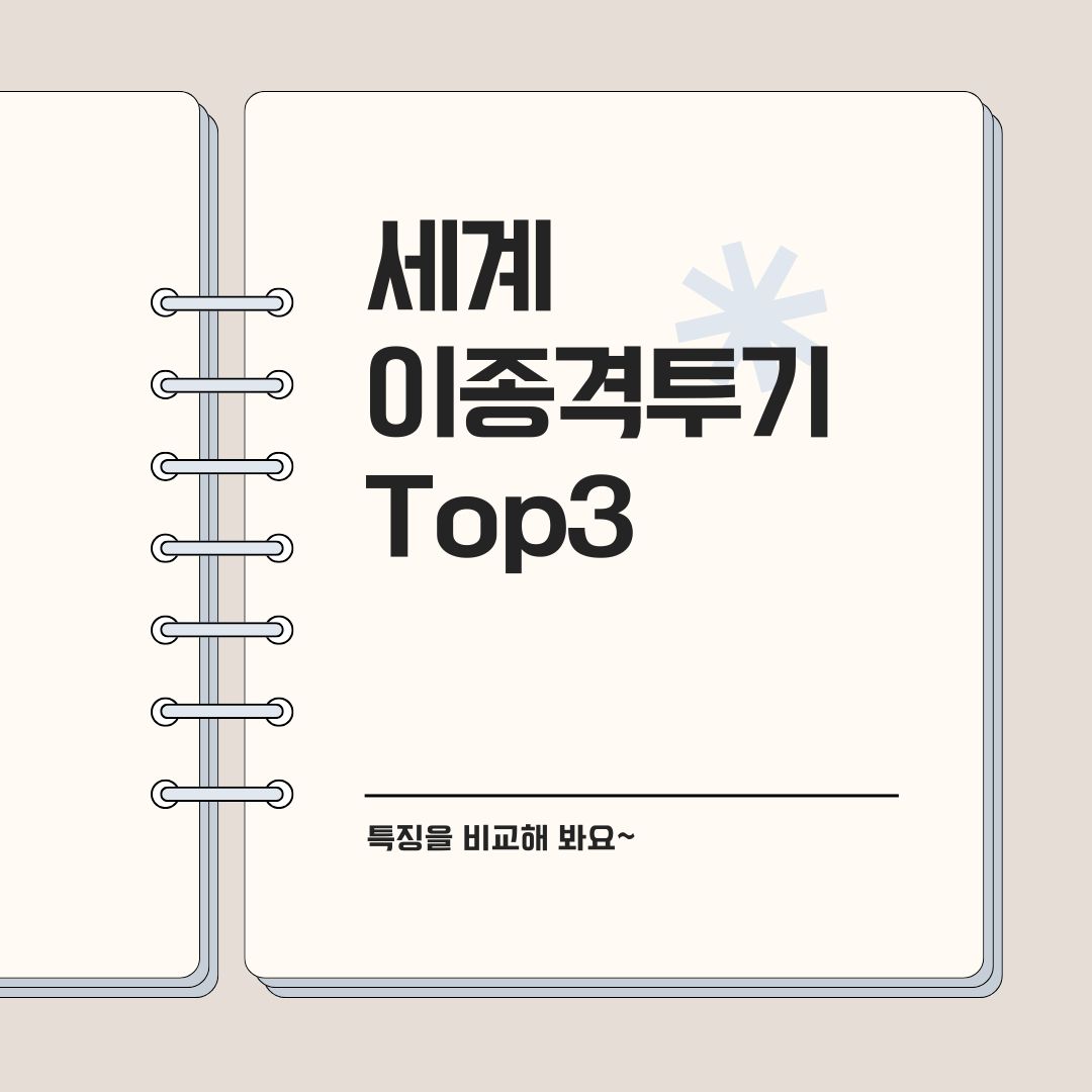 2025년 세계 이종격투기 3대 단체 특징 비교