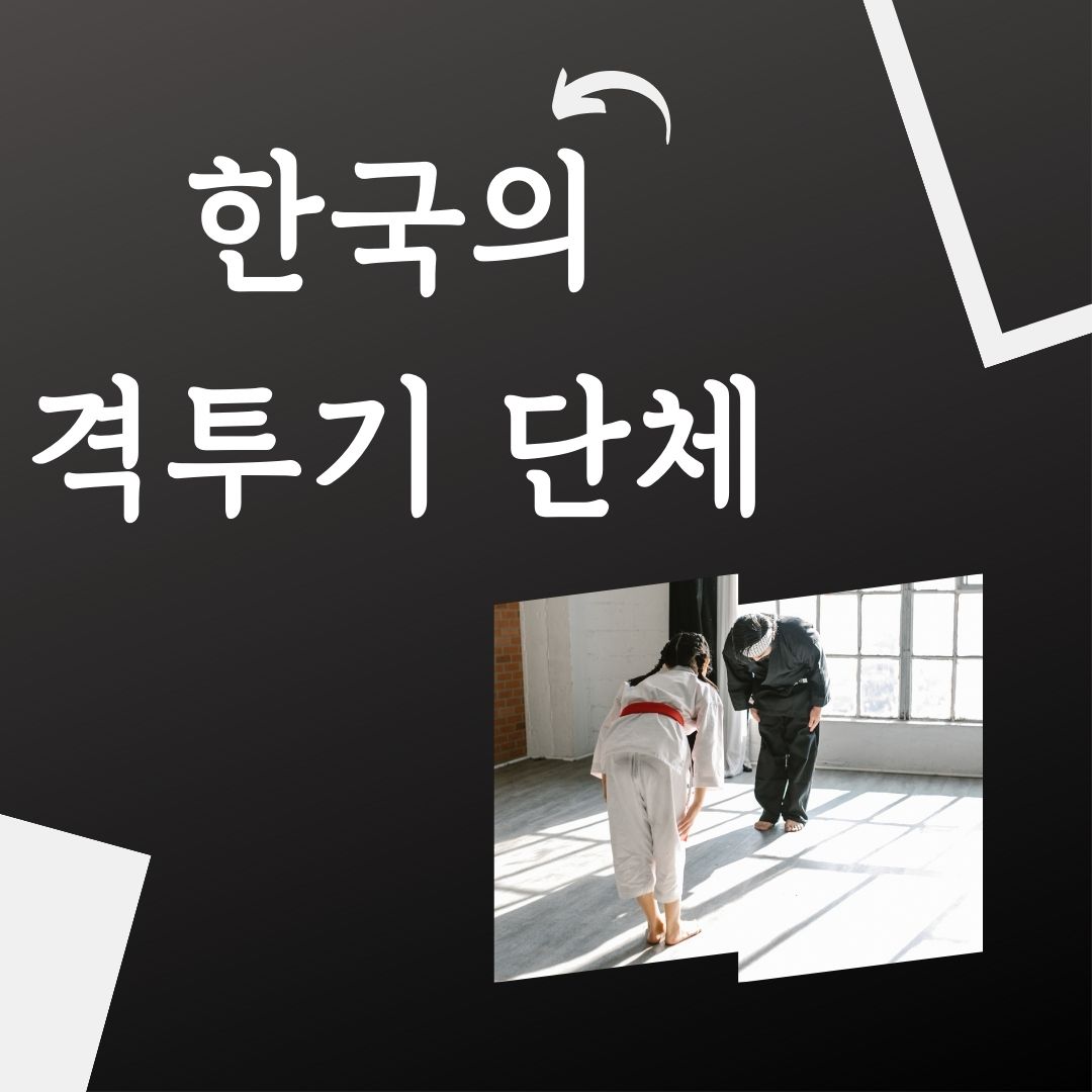한국의 주요 격투기 단체: 알고 보면 더 흥미로운 이야기!