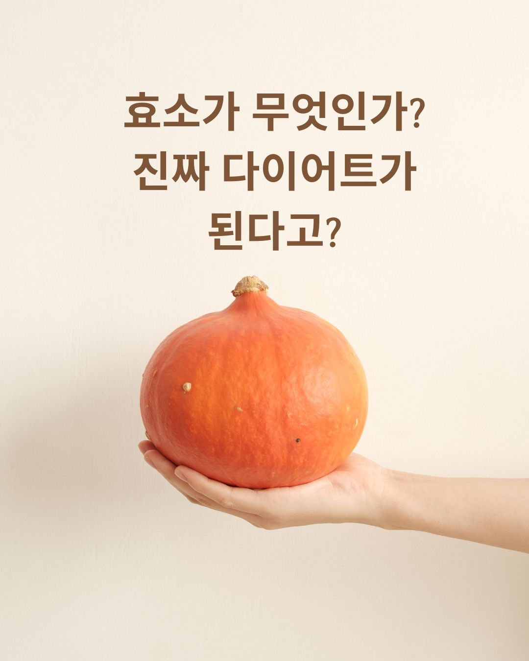 효소란? 다이어트와의 관계: 전격분석
